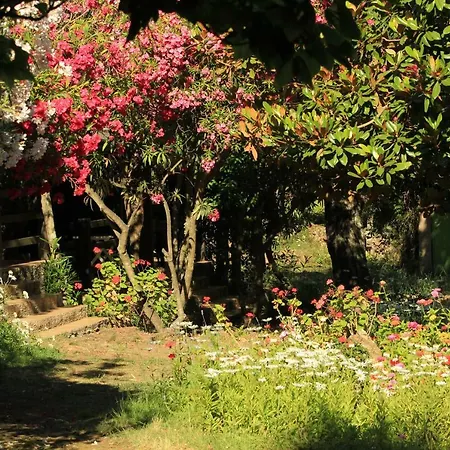 Marina Livia Serriera (Corsica)