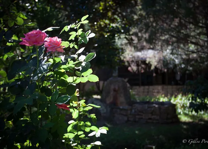 Chalet Résidence Marina Livia Serriera (Corsica)