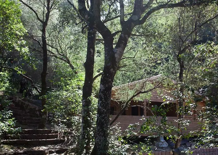 Résidence Marina Livia Chalet *